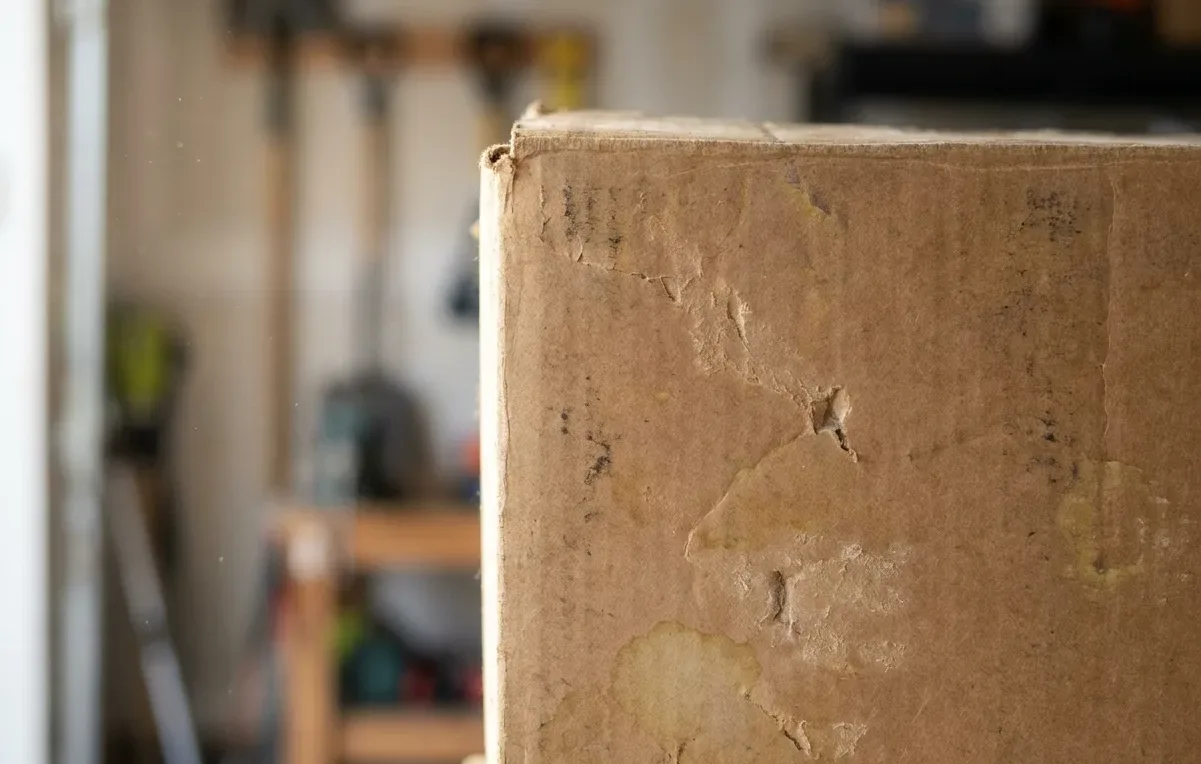 Surface grazing and yellow staining left by silverfish on a stored cardboard box